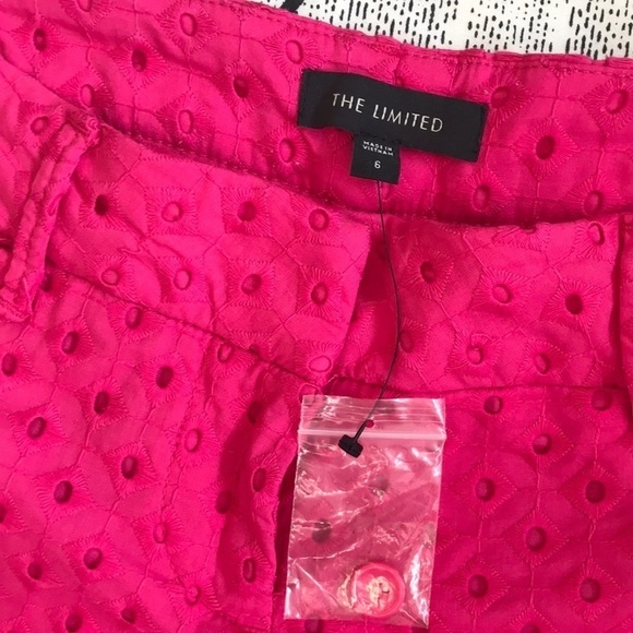nwot // the limited embroidered eyelet shorts - Picture 6 of 8